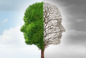 Advanced Leadership Philosophies: Comparing Servant and Toxic Leadership