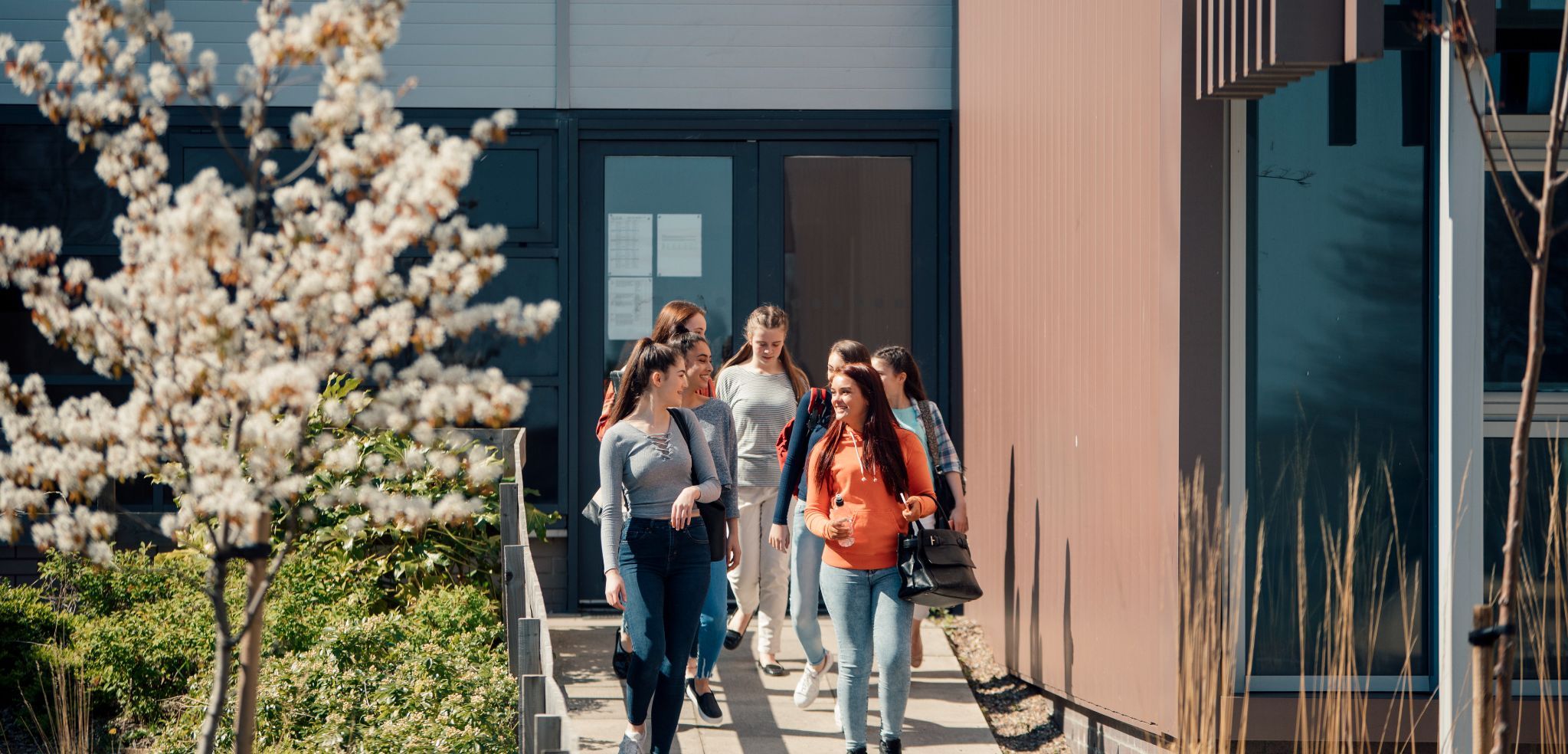 Read more about the article Expertise, Credentials, and the Value of the University