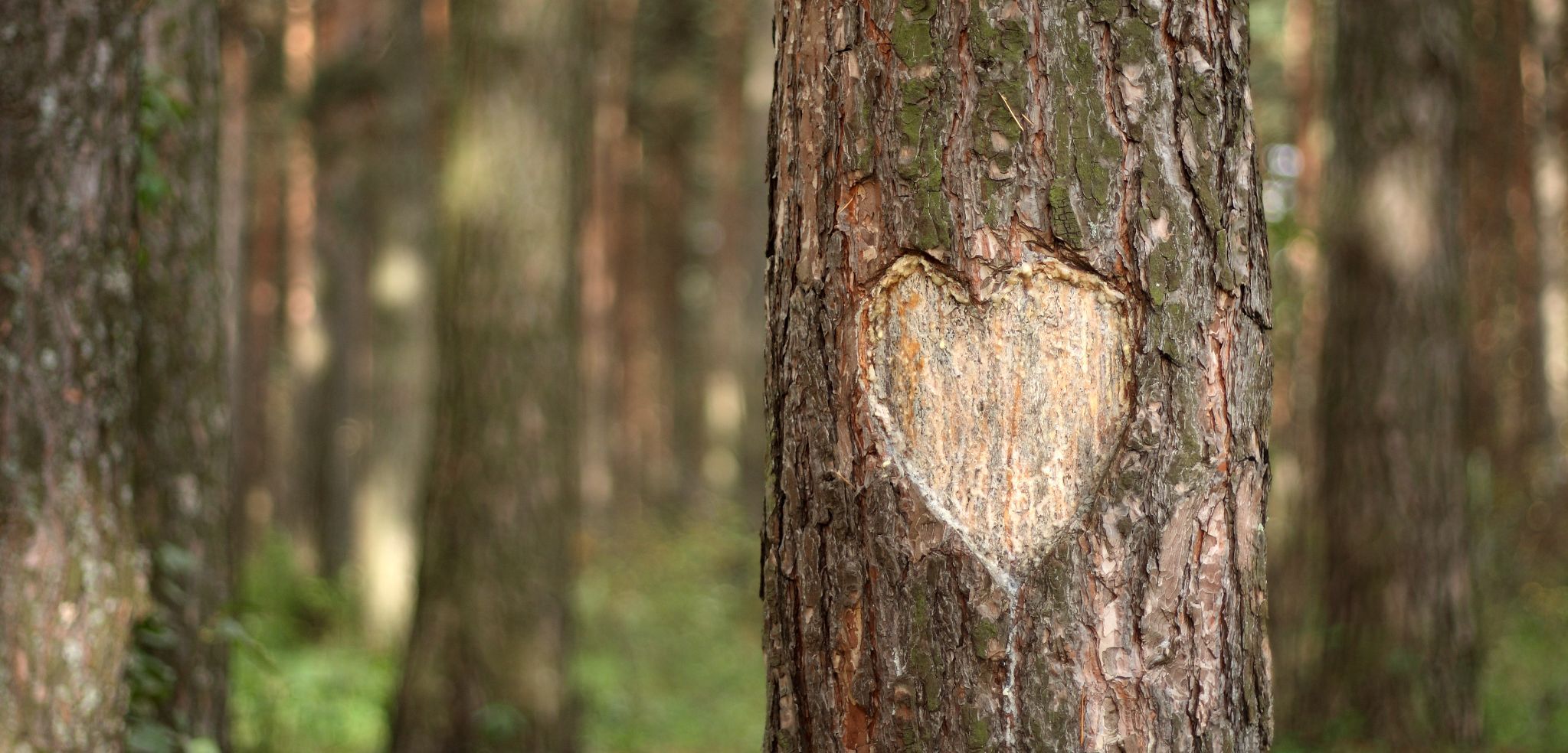 Read more about the article Leading with HeART: Building Relationships from Day One
